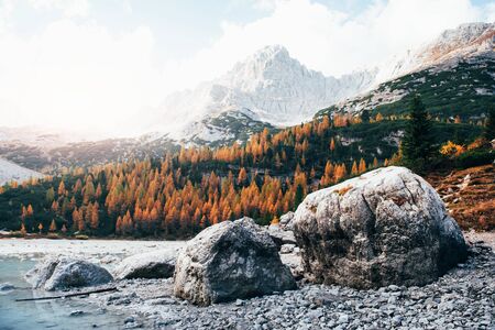 Great high mountains. Landscape of autumn trees and rocks in the front. Majestic nature.の写真素材