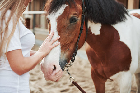 Detailed view. Happy woman with her horse on the ranch at daytime.
