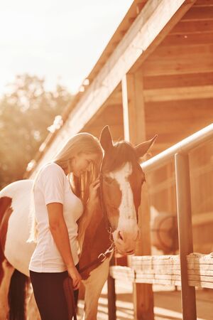 Illuminated by orange sunlight. Happy woman with her horse on the ranch at daytime.の写真素材