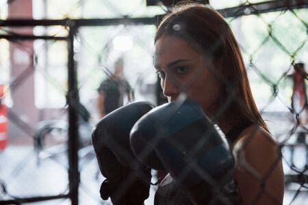 Beautiful female boxer in blue gloves have exercise. In the gym on the cage.の写真素材
