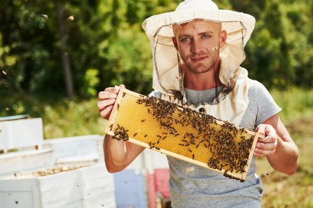 Looks straight forward. Beekeeper works with honeycomb full of bees outdoors at sunny day.