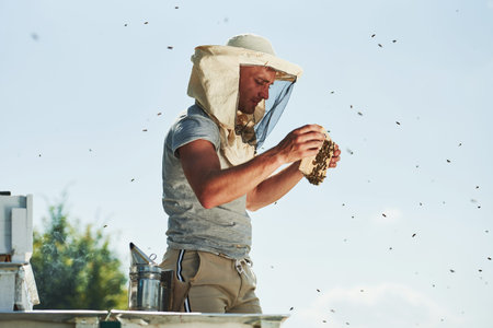 Clear sky. Beekeeper works with honeycomb full of bees outdoors at sunny day.