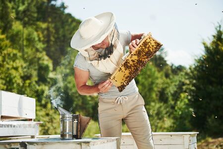 Many of hives. Beekeeper works with honeycomb full of bees outdoors at sunny day.の写真素材