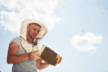 Warm weather. Almost clear sky. Beekeeper works with honeycomb full of bees outdoors at sunny day.
