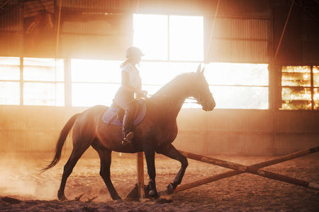 Majestic image of horse silhouette with rider on sunset background. The girl jockey on the back of a...