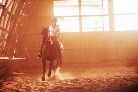 Majestic image of horse silhouette with rider on sunset background. The girl jockey on the back of a stallion rides in a hangar on a farm.の写真素材