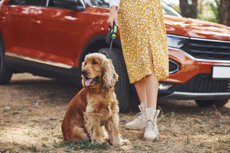 Close up view of woman with her dog at outdoors in the forest have good time.の写真素材