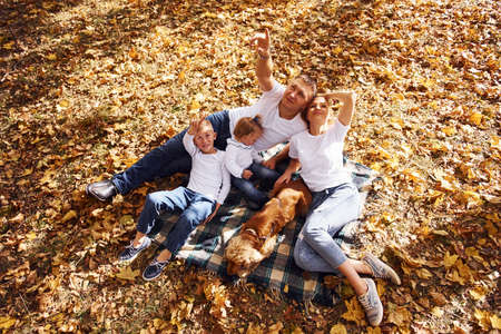 Top view of cheerful young family that have a rest in an autumn park together.の写真素材