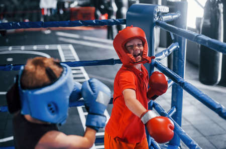 Two boys in protective equipment have sparring and fighting on the boxing ring.の写真素材
