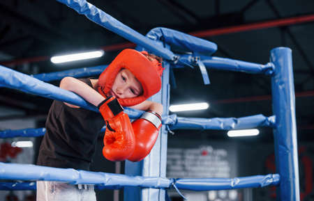 Tired boy in protective equipment leaning on the knots of boxing ring.の写真素材