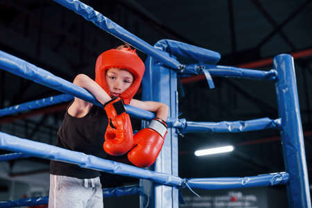 Tired boy in protective equipment leaning on the knots of boxing ring.の写真素材