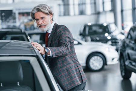 Fashionable old man with grey hair and mustache touching new car indoors in salon.の写真素材