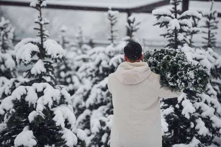 Young handsome man carrying fresh cutted fir tree outdoors.の写真素材