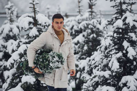 Young handsome man carrying fresh cutted fir tree outdoors.の写真素材