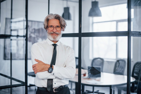 Mature businessman with grey hair and beard in formal clothes is in the office.