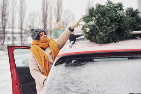 Positive young girl standing near car with green christmas tree on top.の写真素材