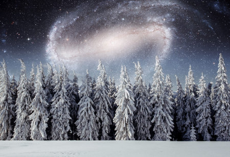 Majestic landscape with forest at winter night time with stars in the sky. Scenery background.