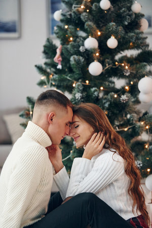 Closeness of the people. Young romantic couple celebrates New year together indoorsの写真素材