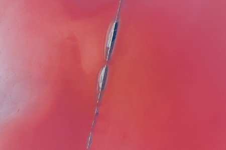 Amazing purple water. Aerial view of Jarilgach island in Ukraine. Majestic landscapes