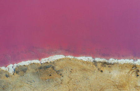 Coast with pink water. Aerial view of majestic landscapes of Jarilgach island in Ukraine