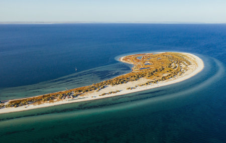 Plants and trees on the surface. Aerial view of majestic landscapes of Jarilgach island in Ukraineの写真素材
