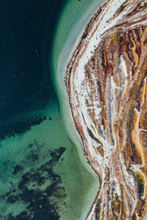 Plants and trees on the surface. Aerial view of majestic landscapes of Jarilgach island in Ukraineの写真素材