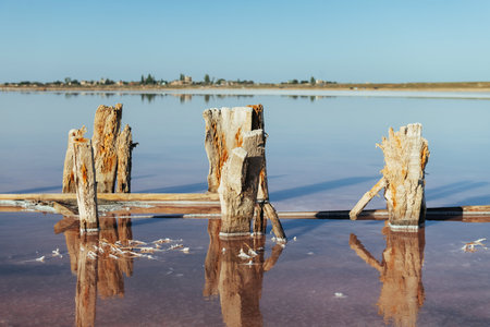 Wooden obstacles in the sea of Jarilgach island, Ukraine. At daytimeの写真素材