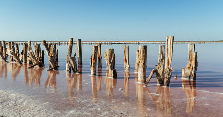 Wooden obstacles in the sea of Jarilgach island, Ukraine. At daytimeの写真素材