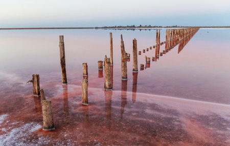 Wooden obstacles in the sea of Jarilgach island, Ukraine. At daytimeの写真素材