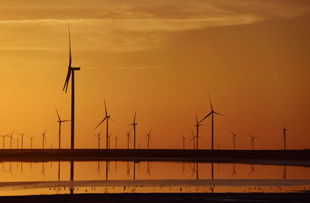 Many of windmills on the Jarilgach island, Ukraine. Sunset time