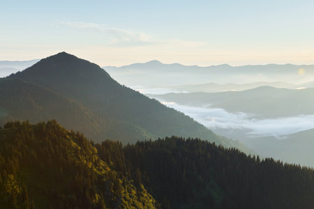 Majestic Carpathian Mountains. Beautiful landscape of untouched natureの写真素材