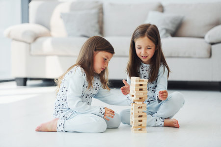 Playing tower game. Two cute little girls indoors at home together. Children having funの写真素材