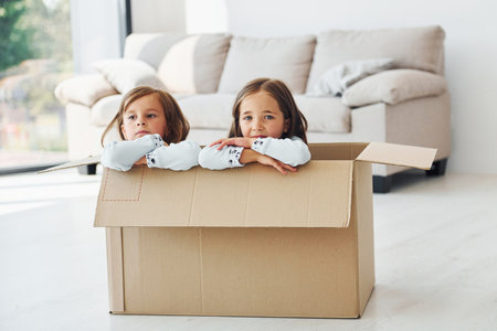 Sitting in the paper box. Two cute little girls indoors at home together. Children having funの写真素材