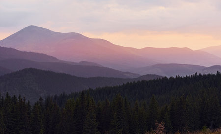 Majestic Carpathian Mountains. Beautiful landscape of untouched natureの写真素材