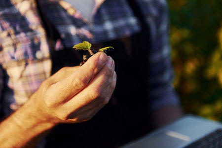 With laptop in hands. Senior stylish man with grey hair and beard on the agricultural field with harvestの写真素材