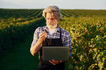 With laptop in hands. Senior stylish man with grey hair and beard on the agricultural field with harvestの写真素材