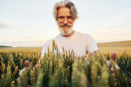 Looks at fresh harvest. Senior stylish man with grey hair and beard on the agricultural fieldの写真素材