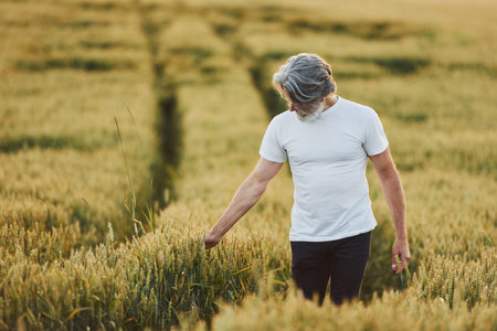 In casual clothes. Senior stylish man with grey hair and beard on the agricultural field with...
