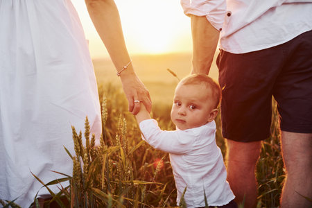 Mother and father with their son spending free time on the field at sunny day time of summer. View from behindの写真素材