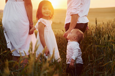 View from behind. Family of four people spending free time on the field at sunny day time of summerの写真素材