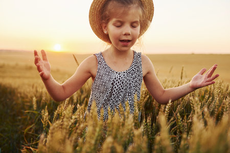 Little girl standing on the agricultural field at evening time. Conception of summer free timeの写真素材