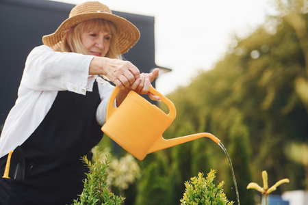 Using yellow colored watering can. Senior woman is in the garden at daytime. Conception of plants and seasonsの写真素材