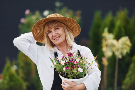 Posing with pot of flowers in hands. Senior woman is in the garden at daytime. Conception of plants and seasonsの写真素材