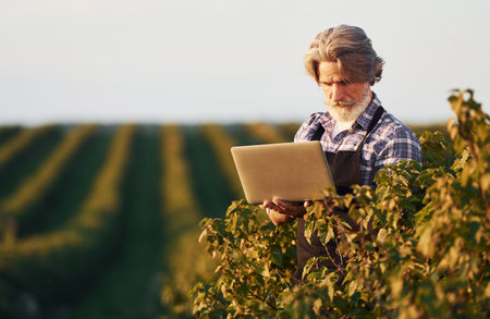 Holding laptop. Portrait of senior stylish man with grey hair and beard on the agricultural fieldの写真素材
