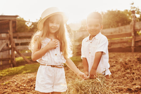 Cute little african american boy with european girl is on the farmの写真素材