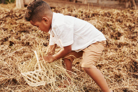 Cute little african american boy is on the farm at summertimeの写真素材