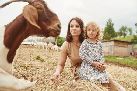 Young mother with her daughter is on the farm at summertime with goatsの写真素材