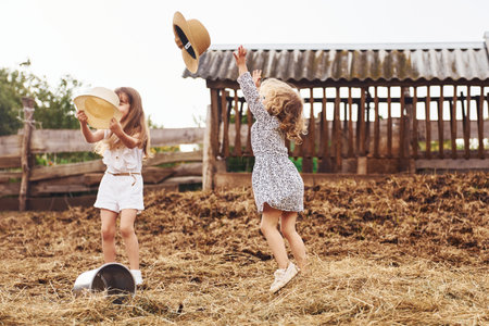 Two little girls together on the farm at summertime having weekendの写真素材