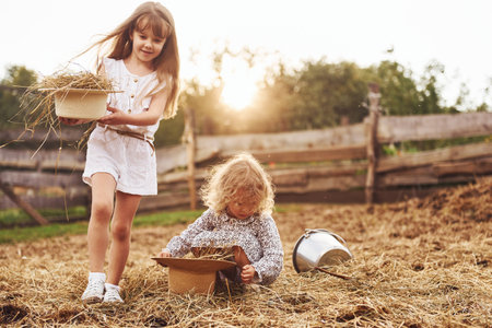 Two little girls together on the farm at summertime having weekendの写真素材