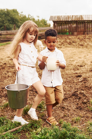 Holding milk. Cute little african american boy with european girl is on the farmの写真素材